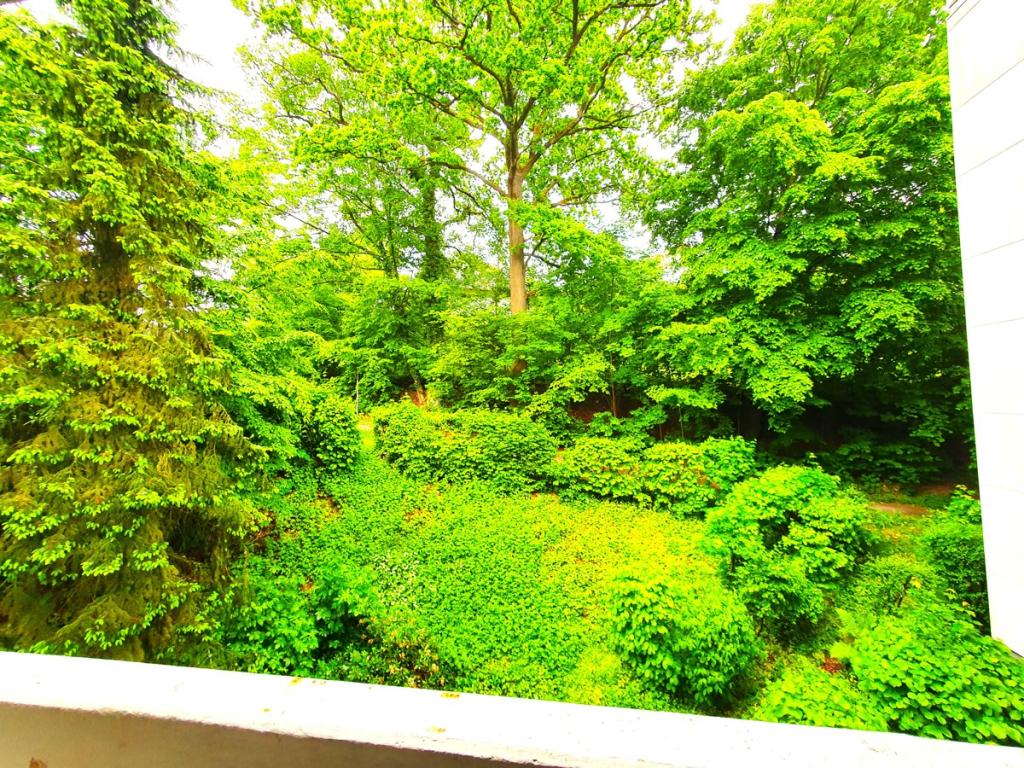 Blick vom Balkon