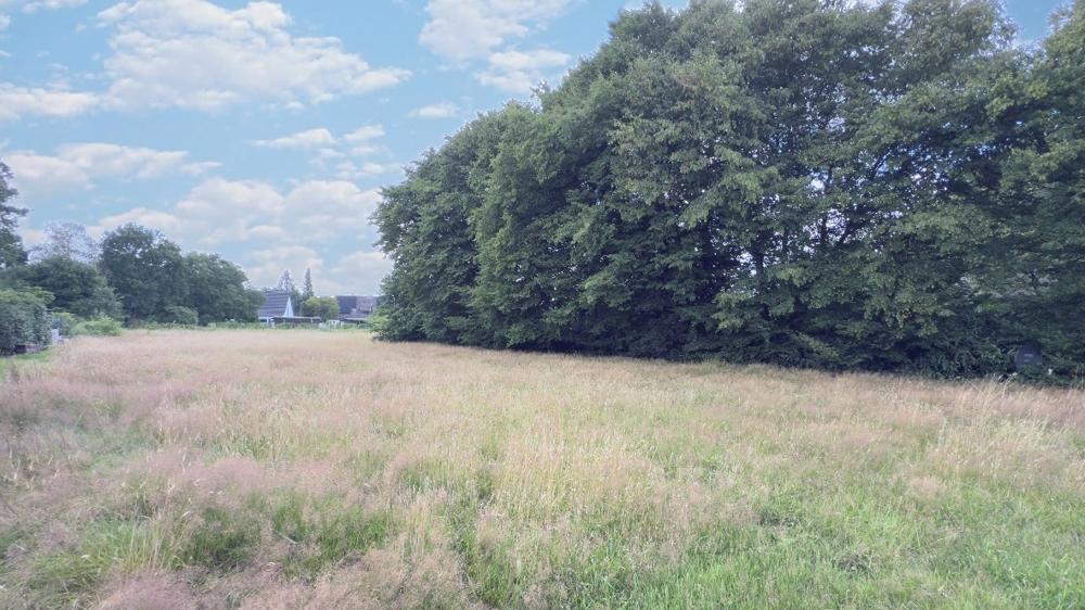 Einblicke in das Baugrundstück