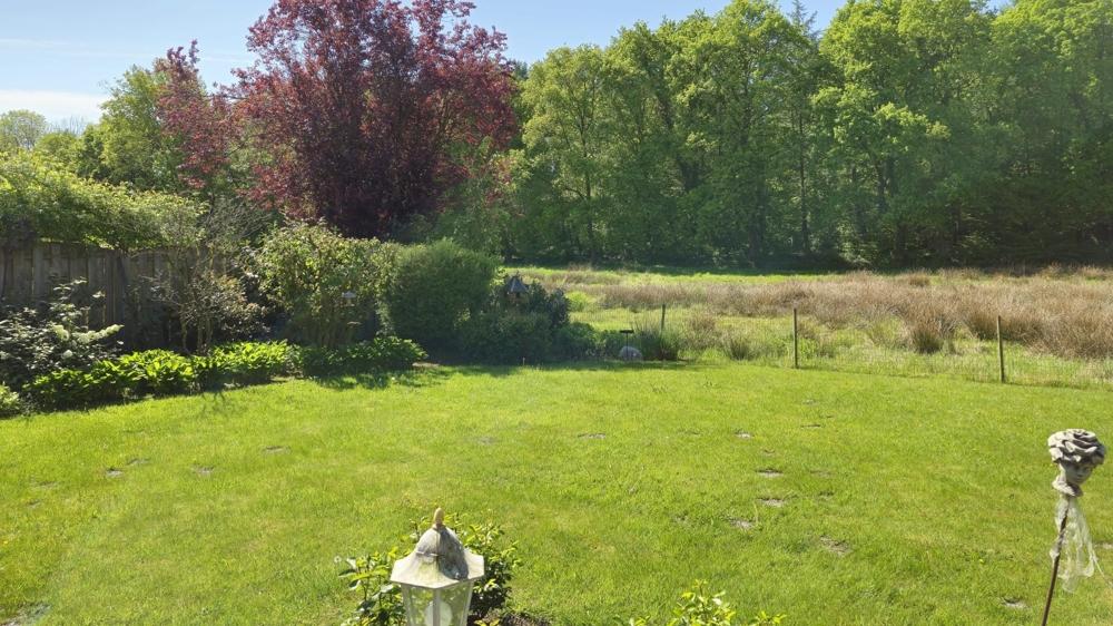 Einblick in den eingegrünten Garten