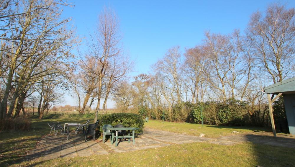 gemeinschaftlicher Gartenbereich mit gepflasterter Terrasse