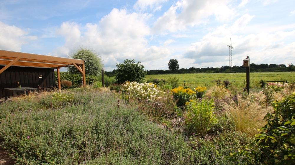 sonniger Garten