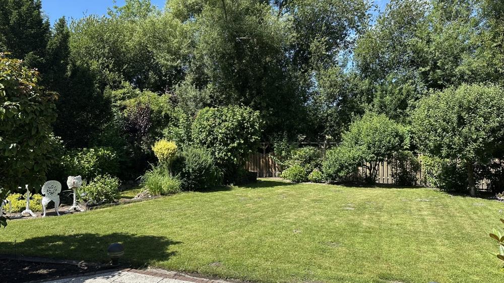 Blick in den Garten