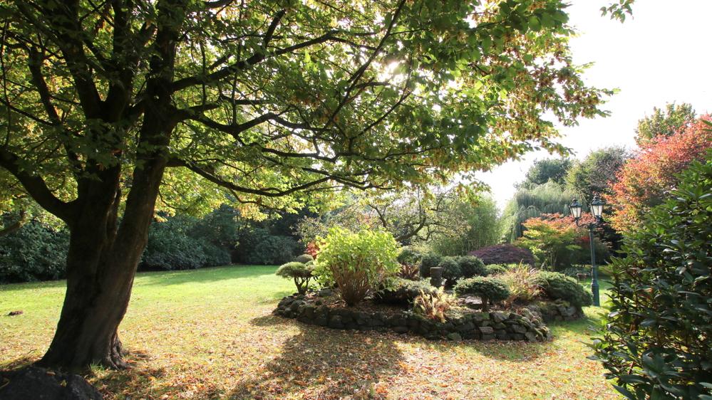 herbstliche Einblicke in das parkähnliche Grundstück
