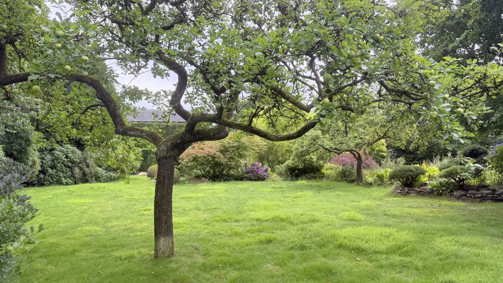 Teileinblick in den parkähnlichen Garten mit Obstbaumbestand
