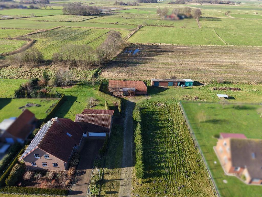 Bild4