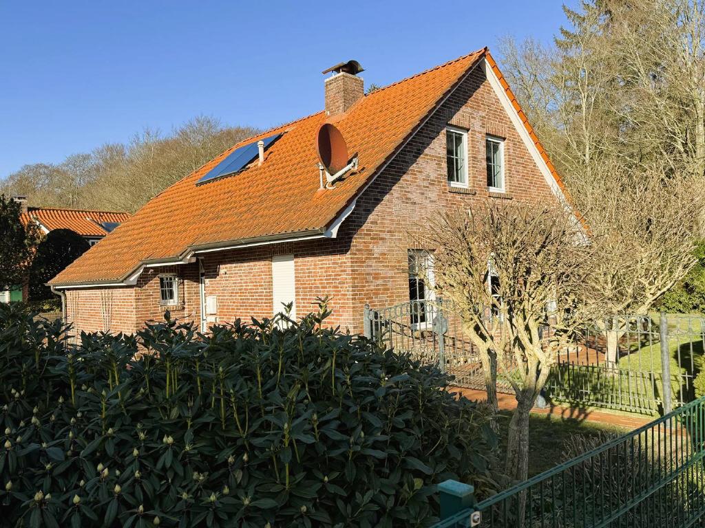 Bild6