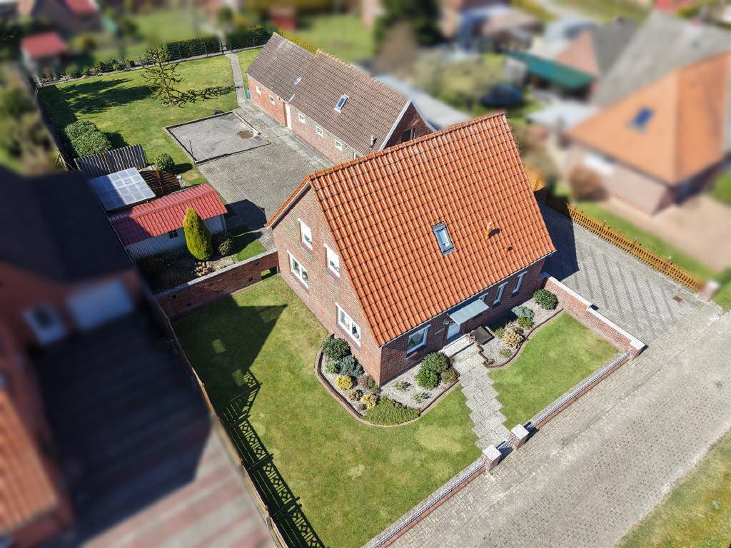 Bild4