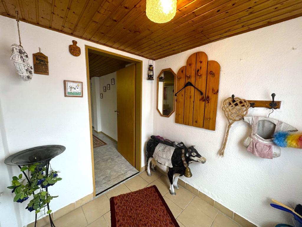 Bild6