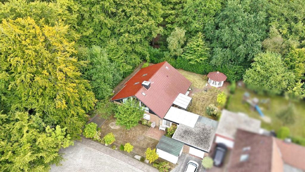 Bild5