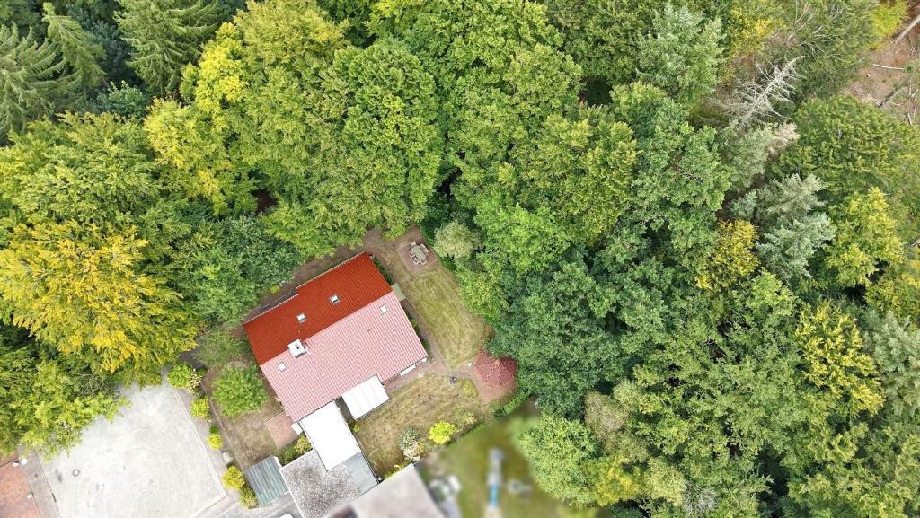 Bild6