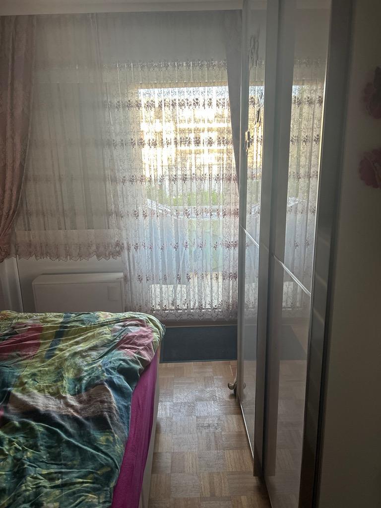 IMG_3977.jpeg