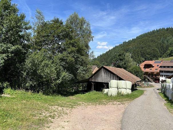 Feldschopf