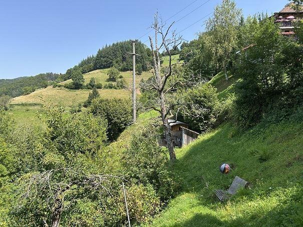 Aussicht