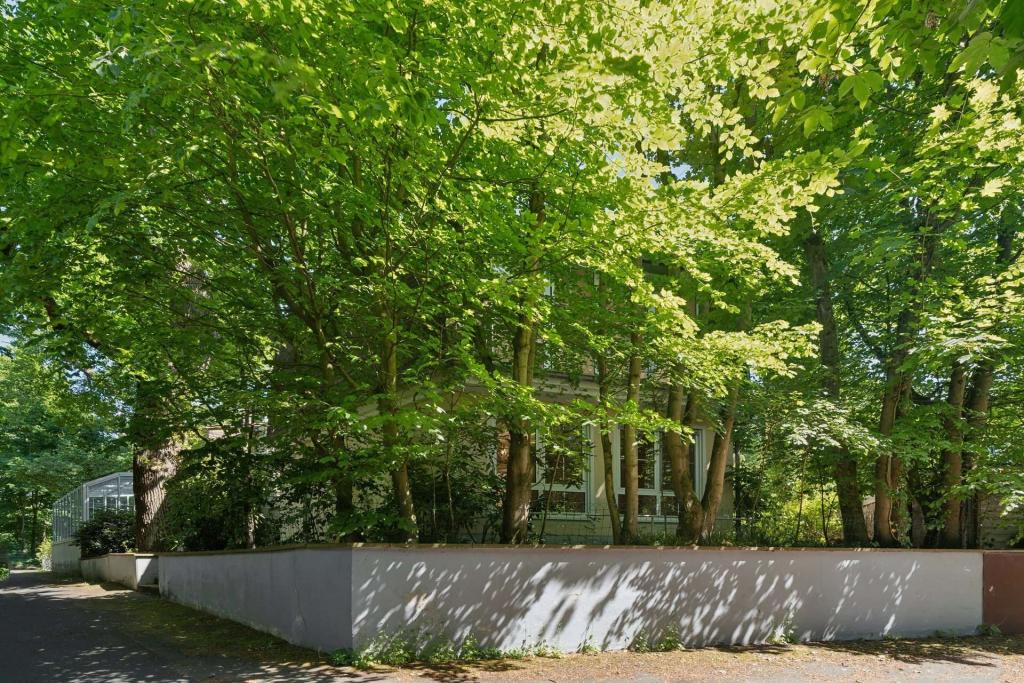 Hausansicht Westausrichtung