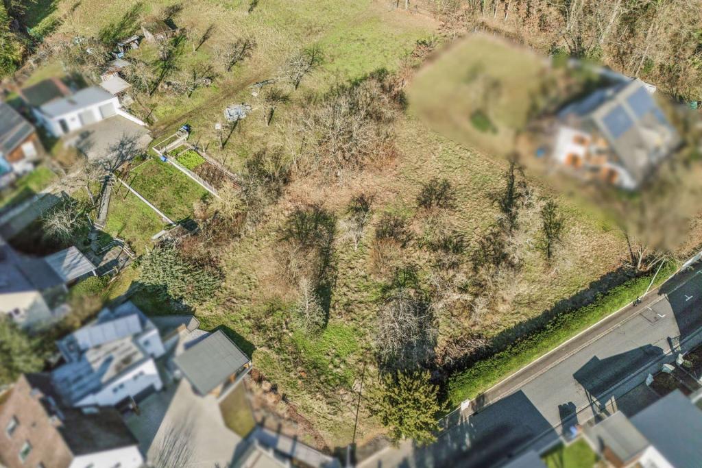 2711544-vSCdzcqY1Fjp5VrEWXE3vFyB-DJI_20250113140222_0103_D_b_WEB.jpg