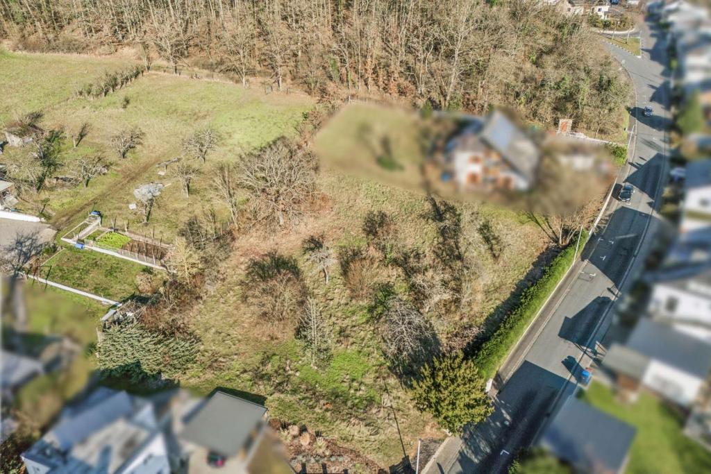 2711532-5wG4VbBK3kdzhs4MhZDKViMm-DJI_20250113140313_0109_D_b_WEB.jpg