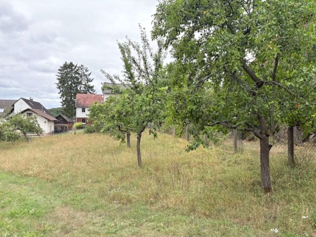 47361 Süden