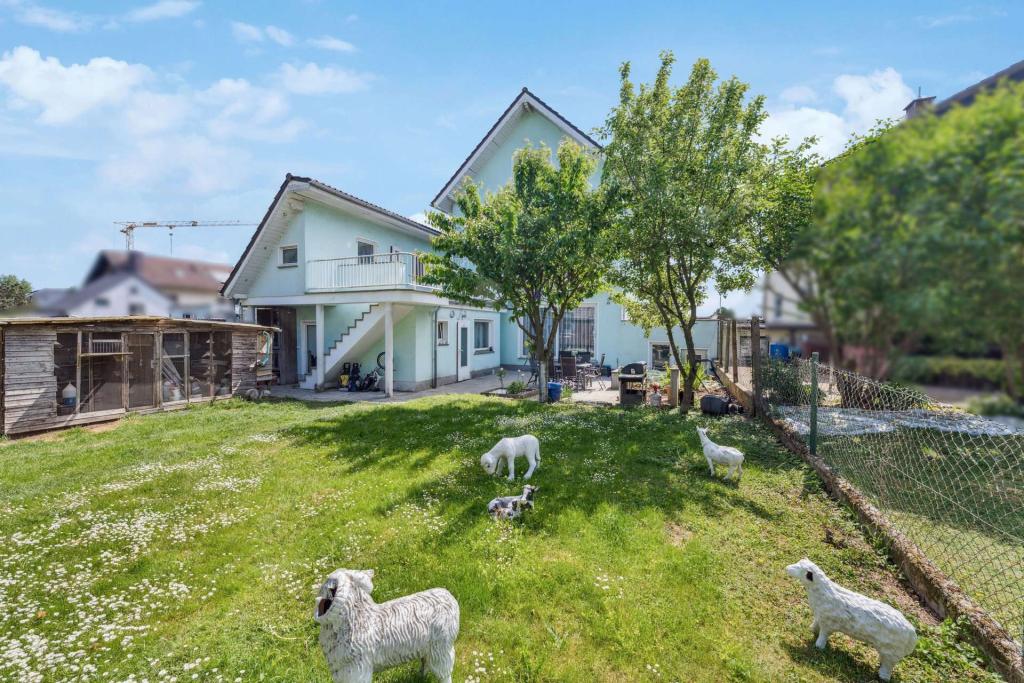 Blick vom Garten