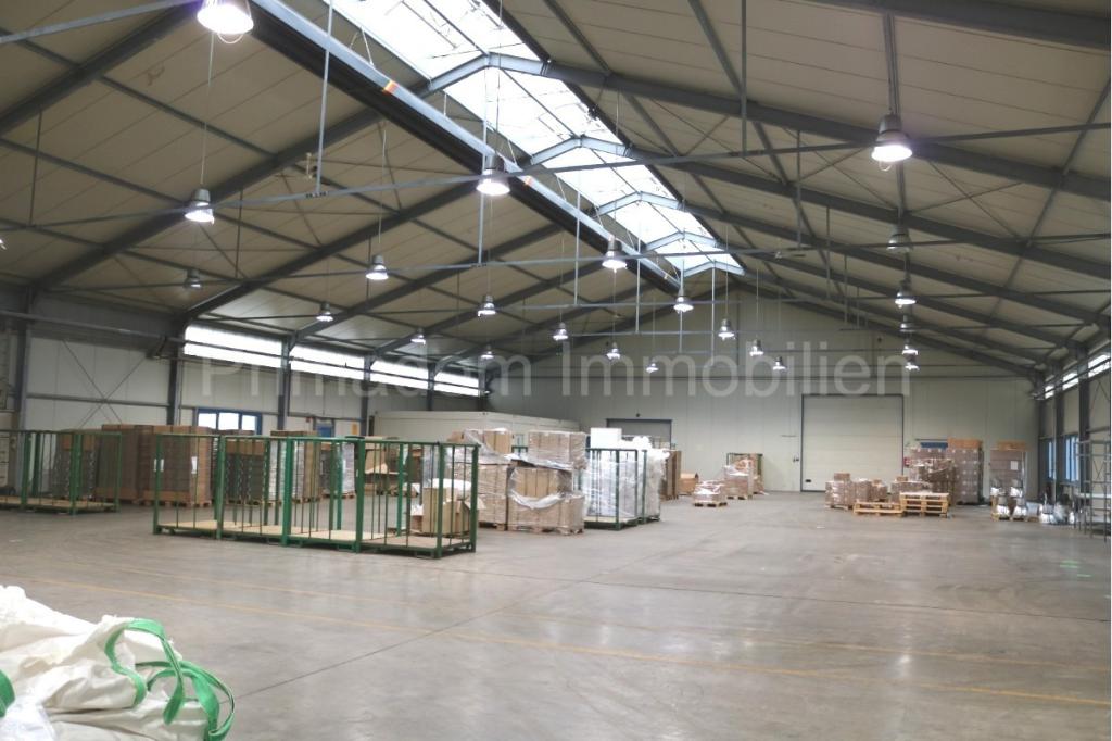 Halle 1