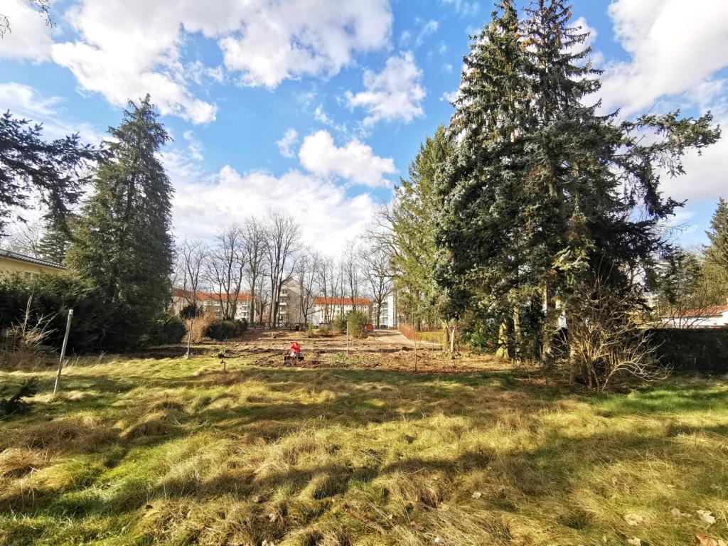Blick vom hinteren Grundstücksteil