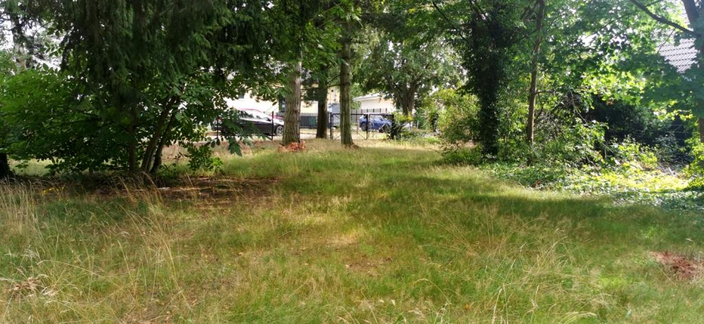 Blick vom Grundstück zur Straße