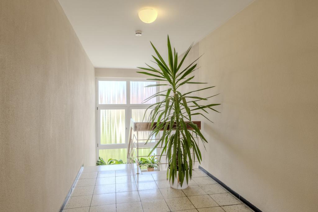 Helles und äusserst gepflegtes Treppenhaus