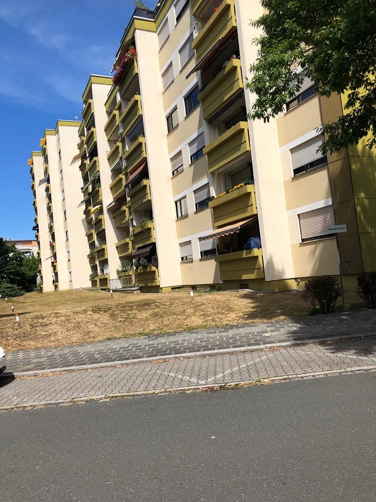 IMG_0331.jpeg