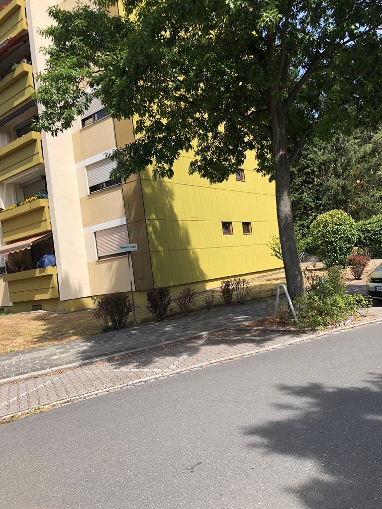 IMG_0332.jpeg