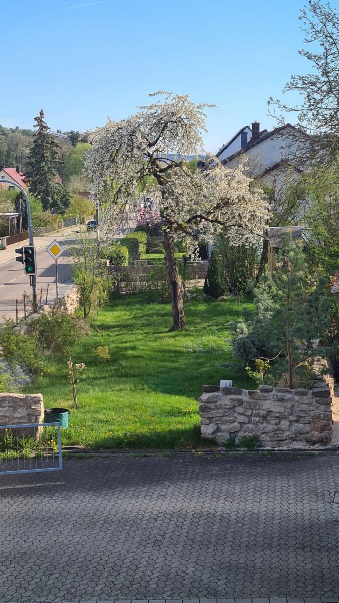 Immobilie in Burgoberbach -  - Bild 3