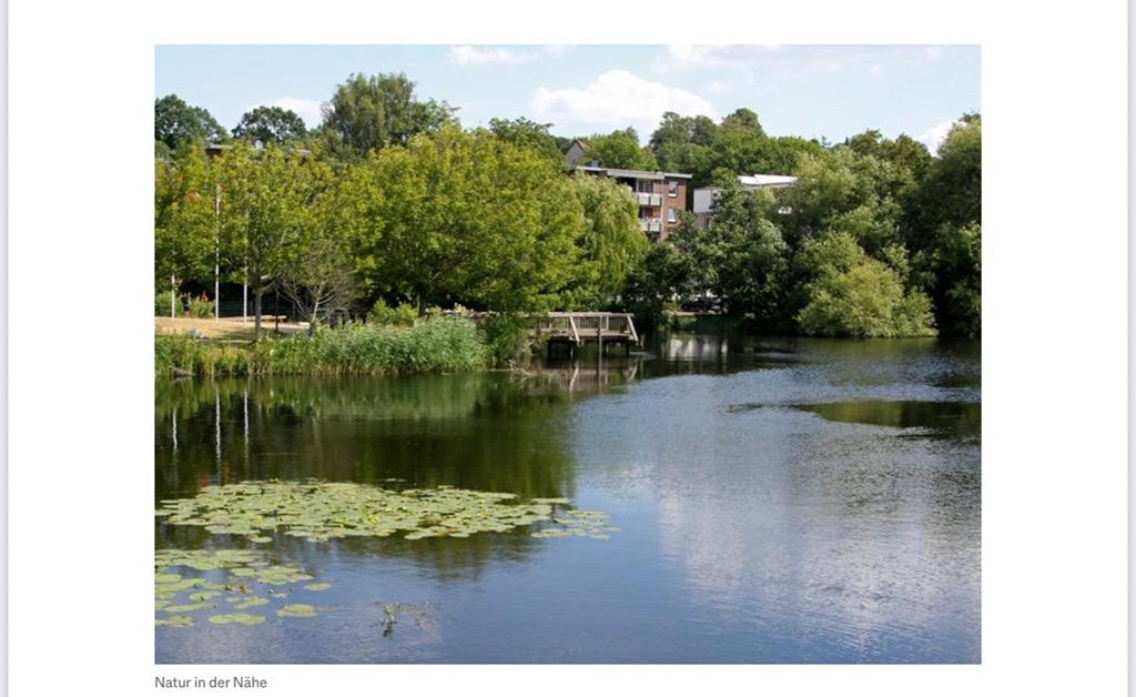 Hochparterre in Kiel (Wellingdorf) - Photo 2