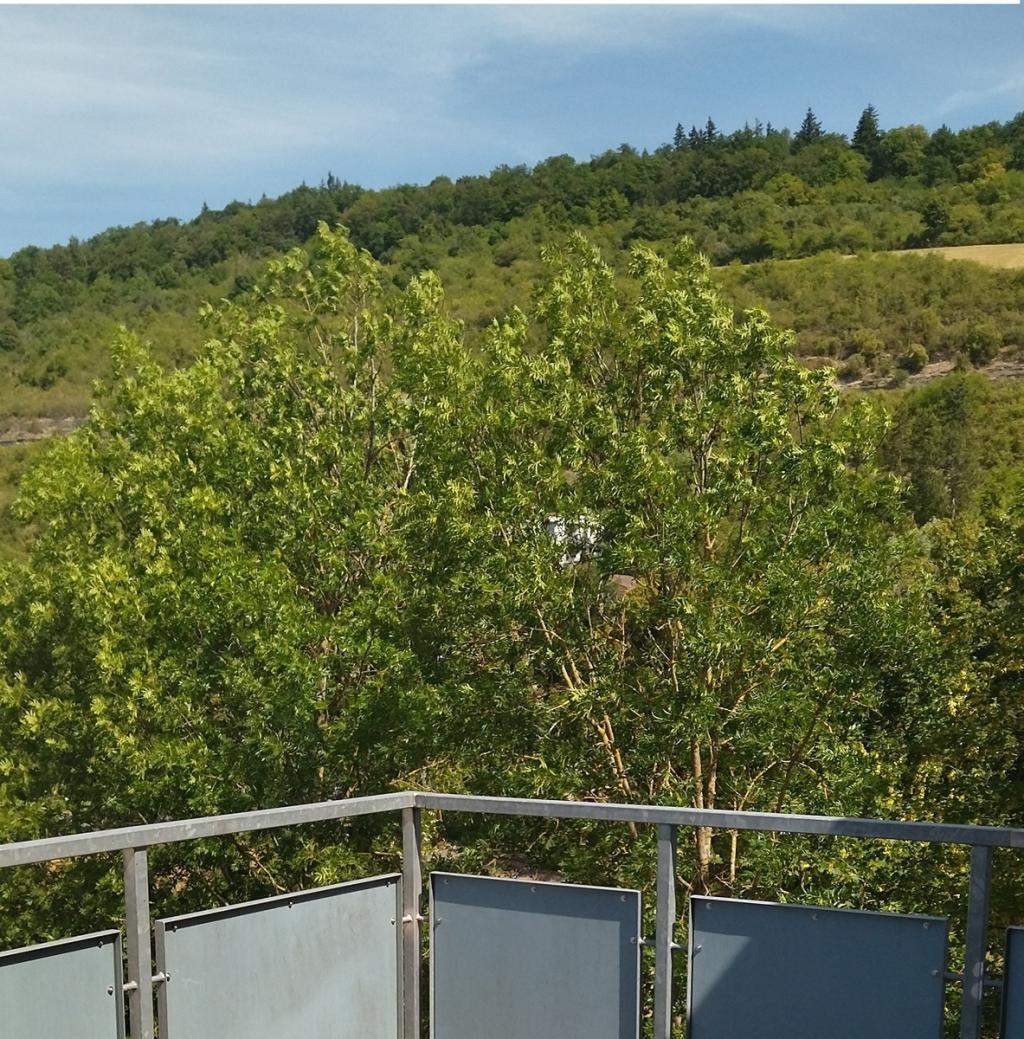 Penthaus-Wohnung am Kurpark Bad Mergentheim - Photo 3