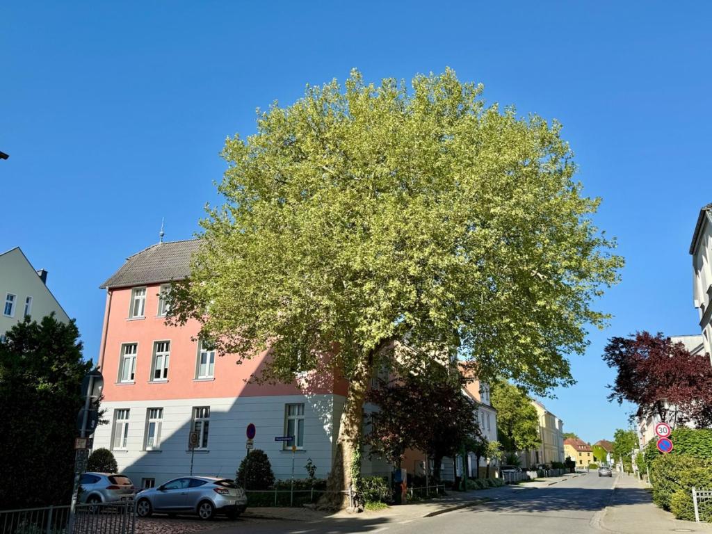 Straßenansicht