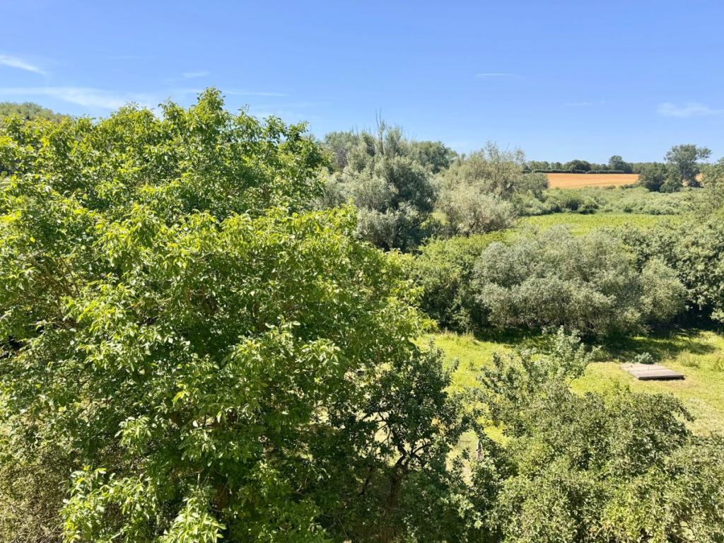 Blick aus dem oberen Fenster