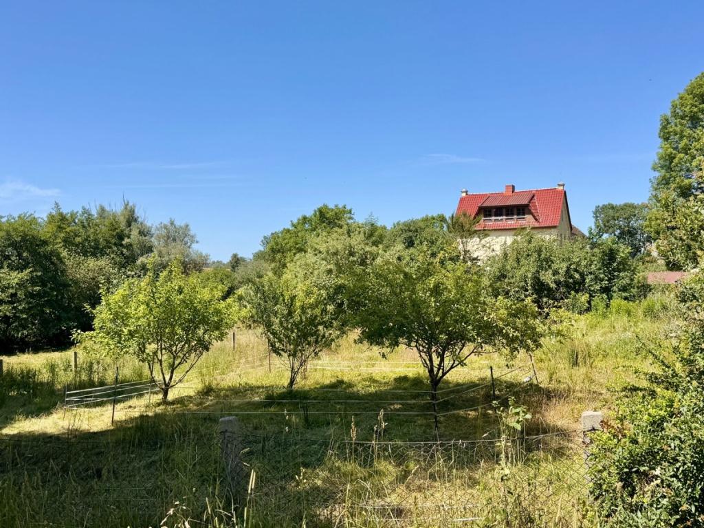 das Grundstück