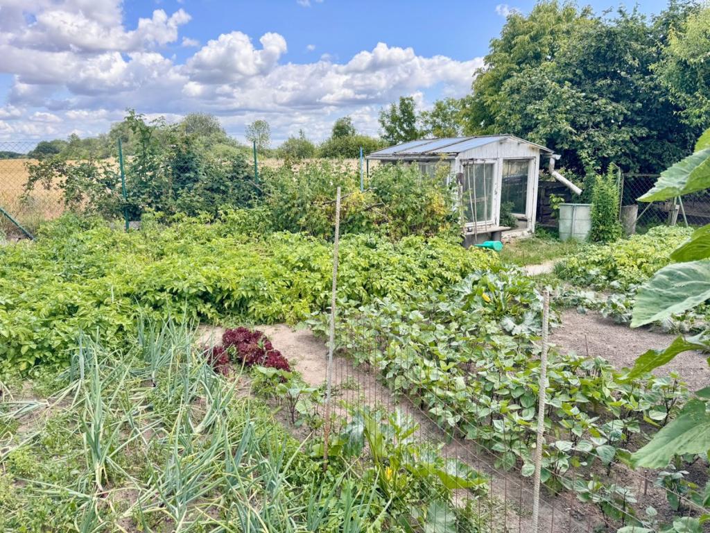 Gartengrundstück