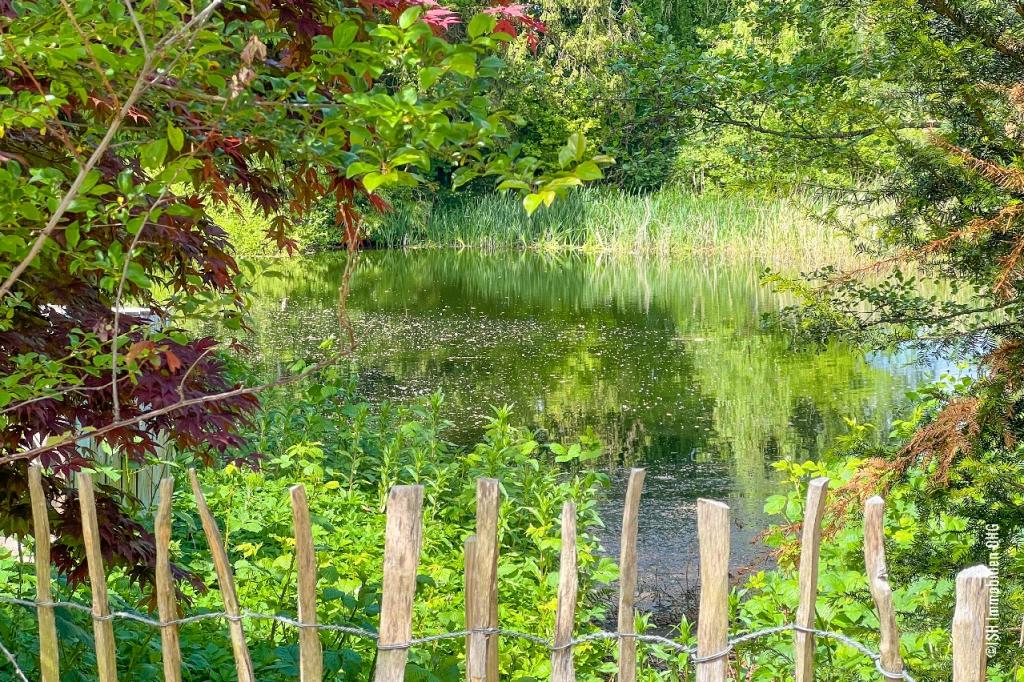 Blick zum See