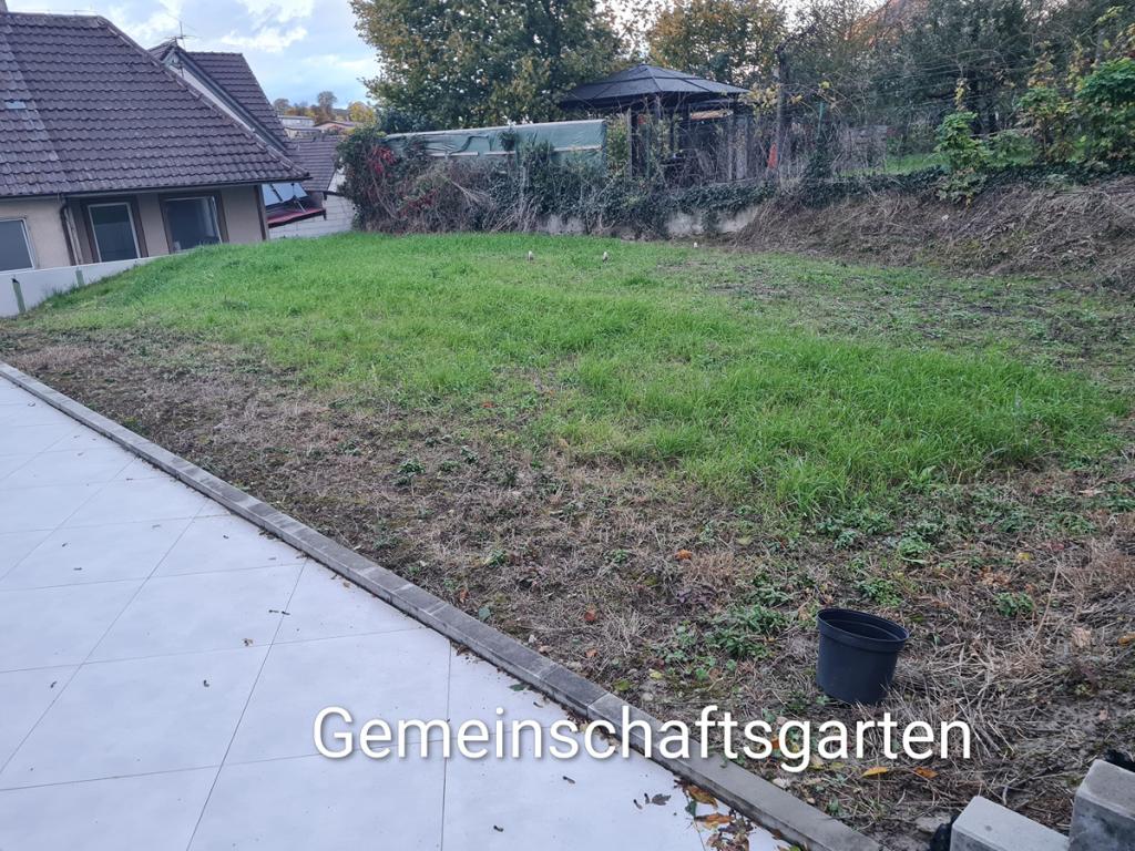 Schöne 3 Zimmer Wohnung - Foto 5