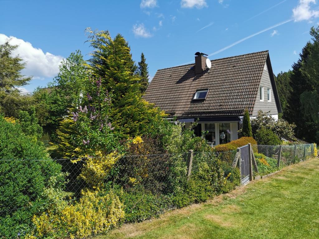 Seitlich von der freien Wiese