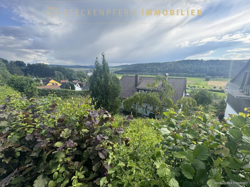 Traumaussichten