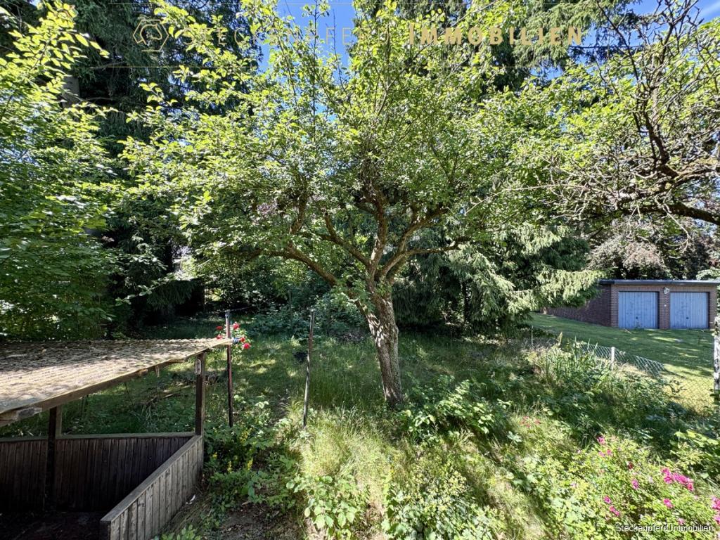 Großzügiger Garten