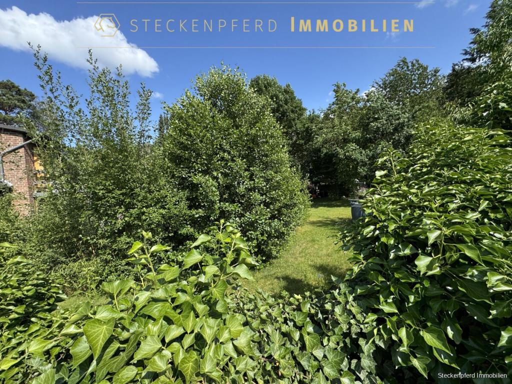 Waldgrundstück