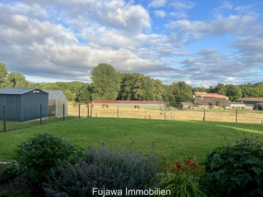 Blick von der Terrasse zu den Pferden auf der Weide