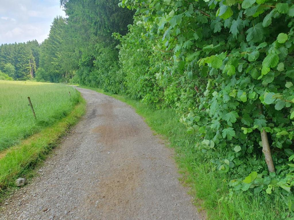 Zufahrtsweg