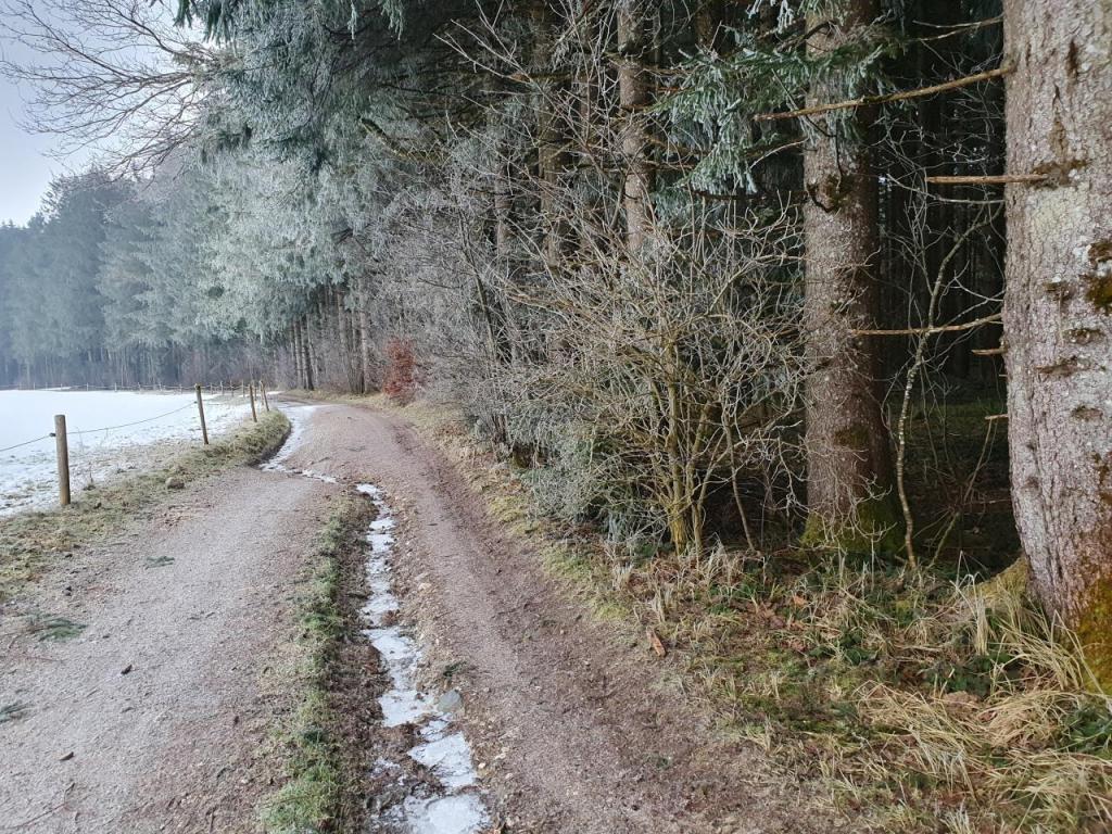 Zufahrtsweg