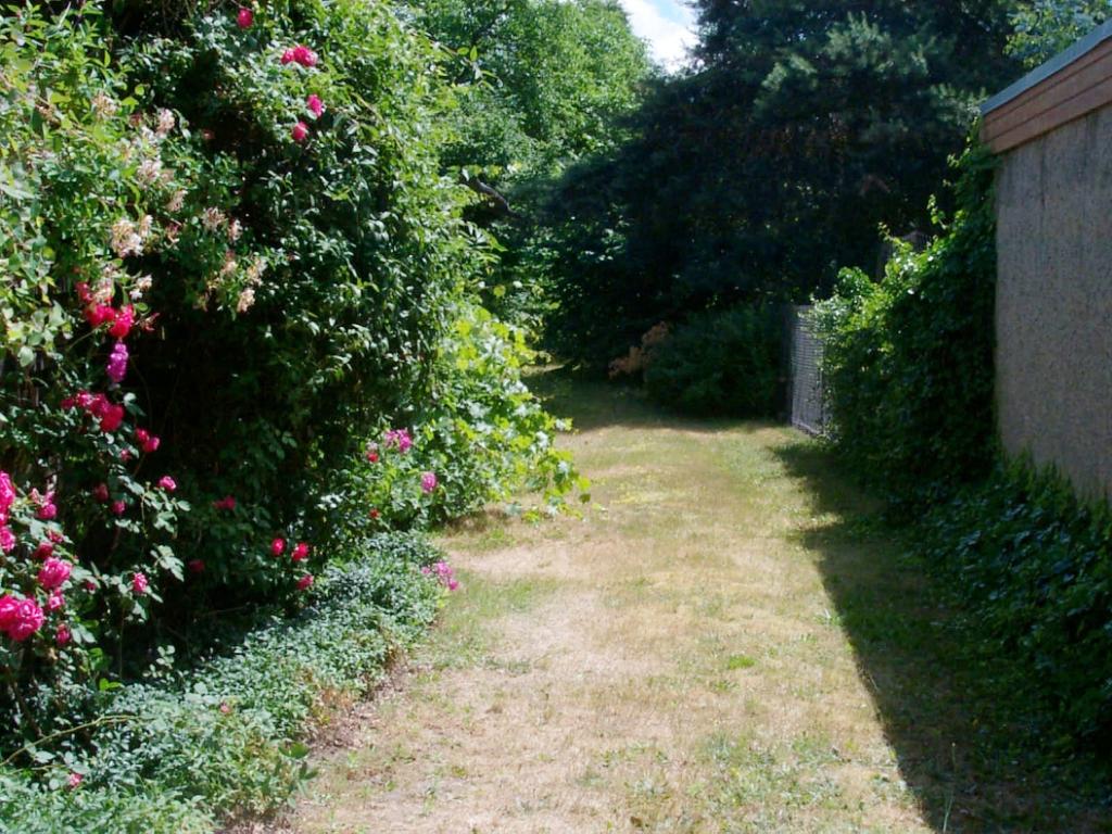 Weg mit schöner Bepflanzung