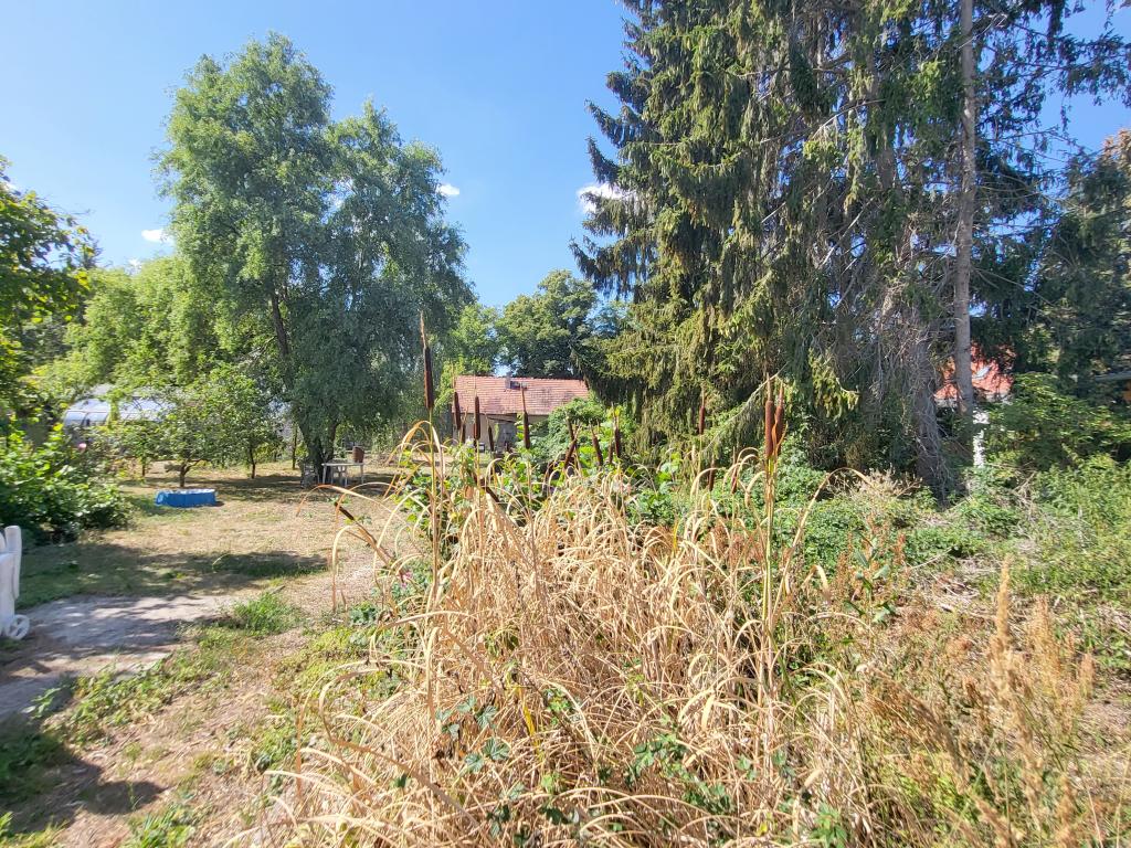 Blick auf das angrenzende Baugrundstück nach hinten