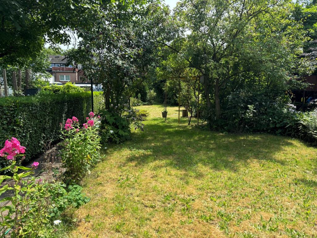 Garten Richtung Süd