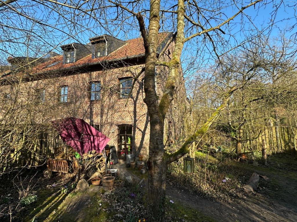 Rückansicht Frühjahr