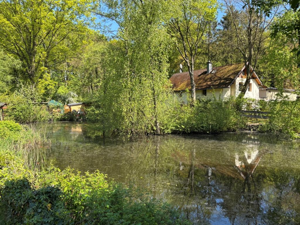 Teich von Nordwesten