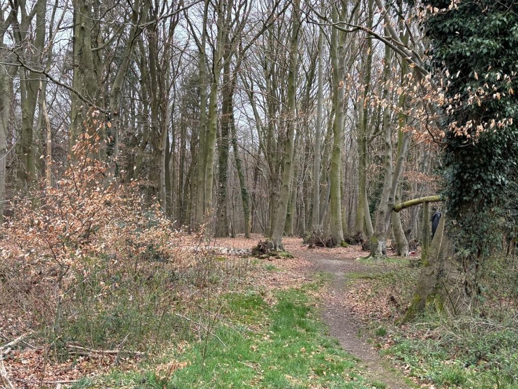 Wald